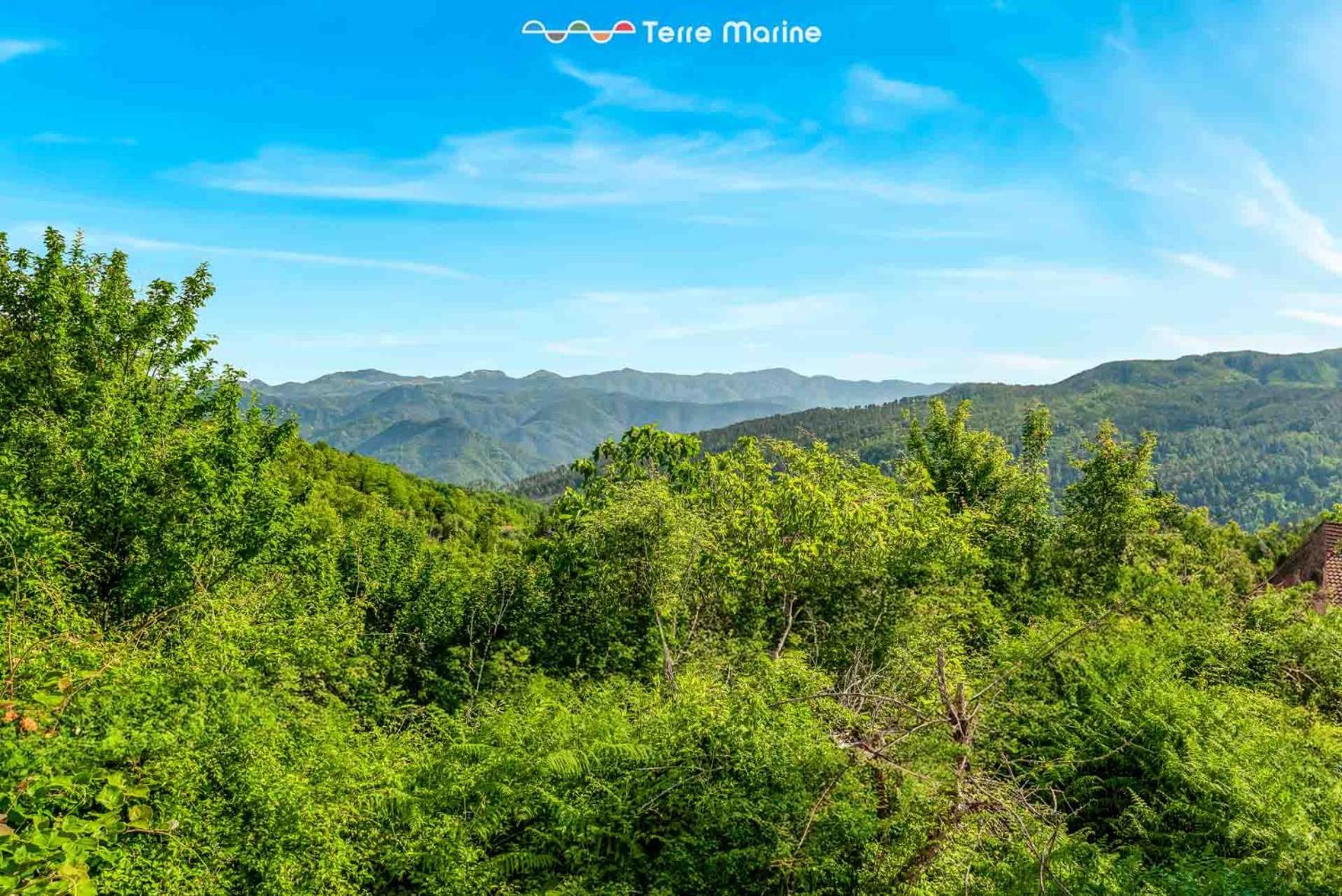 Villa Pina Riccò del Golfo di Spezia Dış mekan fotoğraf